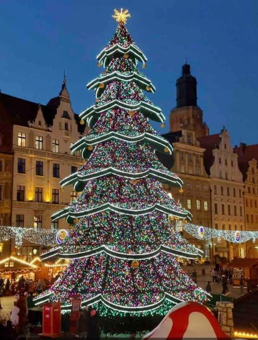 Apartment Rynek Pod Fredra Wroclaw