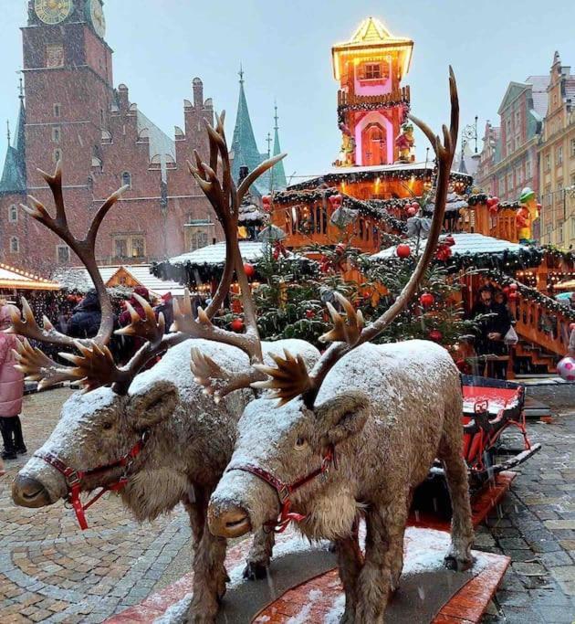 Rynek Pod Fredra Wroclaw